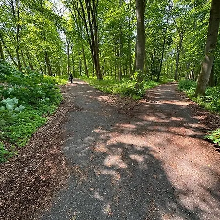 מלון דירות Island 3*