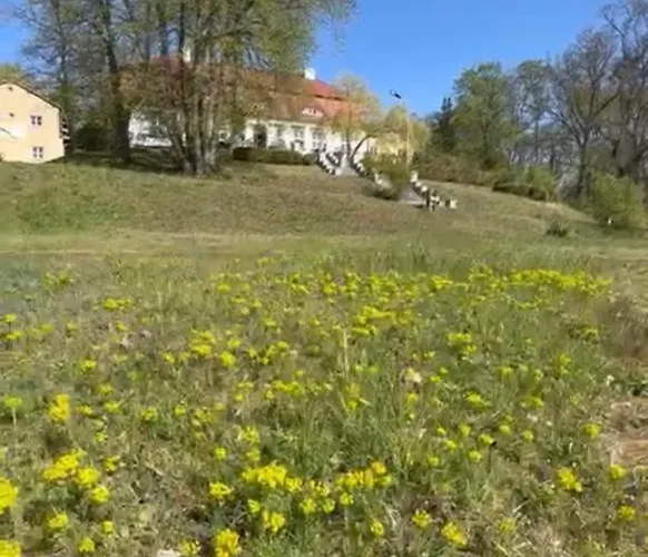 公寓式酒店 Island 3*